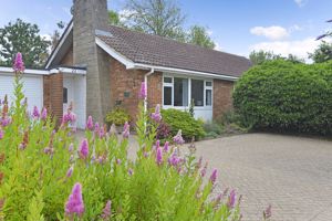 Photo 21- click for photo gallery